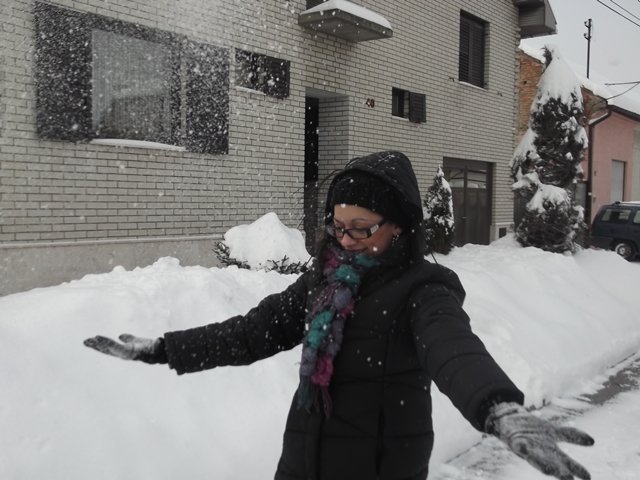 77287-041.JPG,  bytes