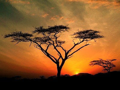 beautiful sunrise 9.jpg, 34 KB